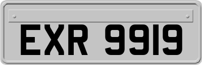 EXR9919