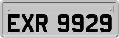 EXR9929