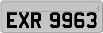 EXR9963