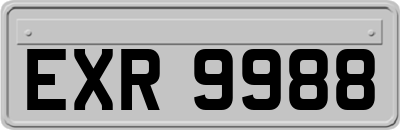 EXR9988