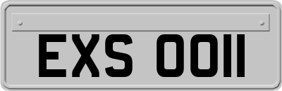EXS0011