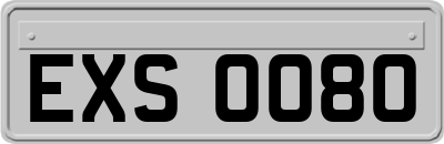 EXS0080