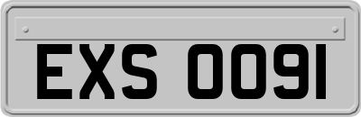 EXS0091