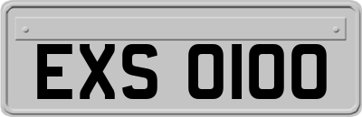 EXS0100