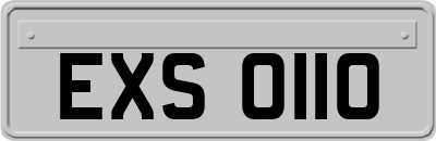 EXS0110