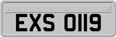 EXS0119
