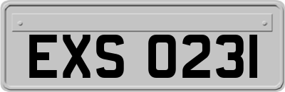 EXS0231