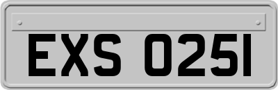 EXS0251