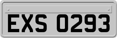 EXS0293
