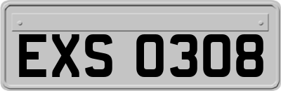 EXS0308