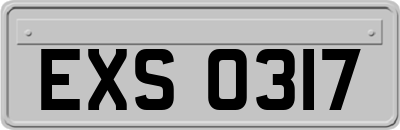 EXS0317