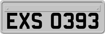 EXS0393