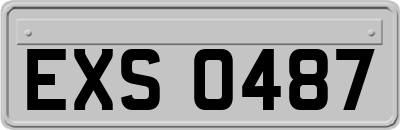 EXS0487