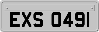 EXS0491