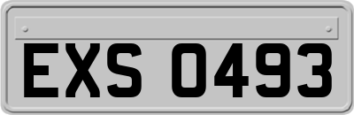 EXS0493