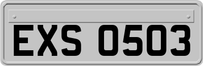 EXS0503