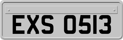 EXS0513