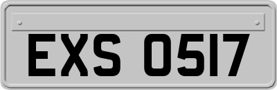 EXS0517