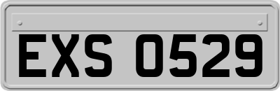 EXS0529