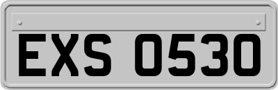 EXS0530