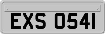 EXS0541