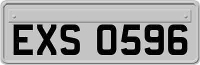 EXS0596