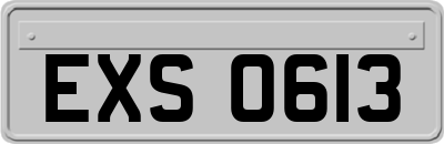 EXS0613