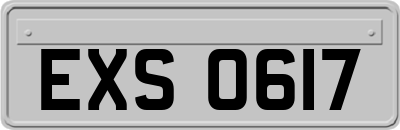 EXS0617