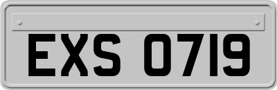 EXS0719