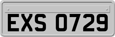 EXS0729