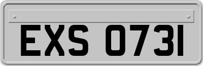 EXS0731