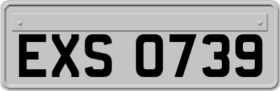 EXS0739