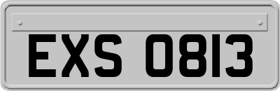 EXS0813