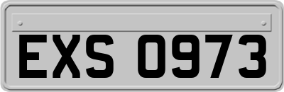 EXS0973