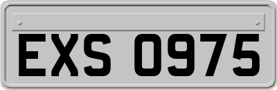 EXS0975
