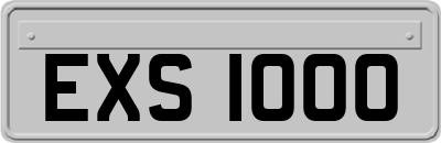 EXS1000