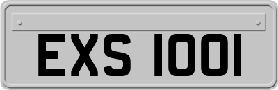 EXS1001