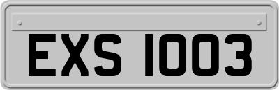 EXS1003