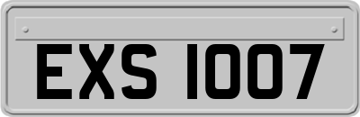 EXS1007