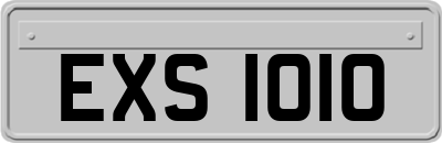 EXS1010