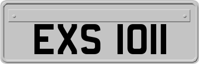 EXS1011
