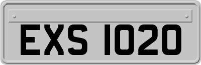 EXS1020