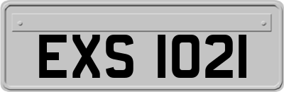 EXS1021