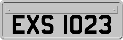 EXS1023