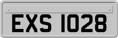 EXS1028
