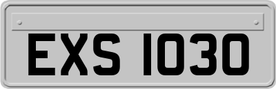 EXS1030