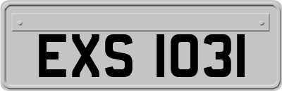 EXS1031