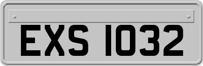 EXS1032
