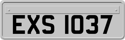 EXS1037