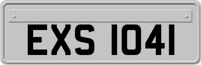 EXS1041